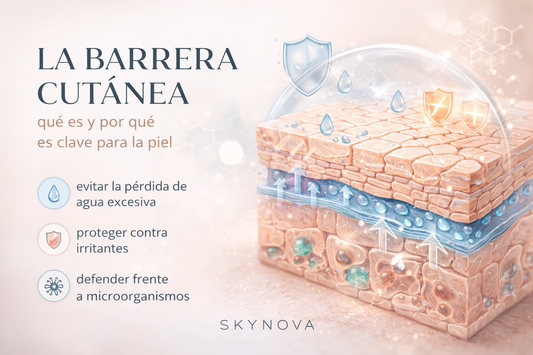 La barrera cutánea: qué es y por qué es clave para la piel