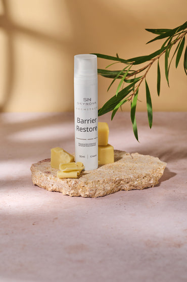 Barrier Restore