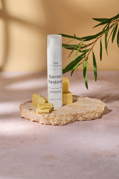 Barrier Restore